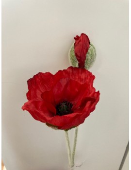 COQUELICOT ROUGE