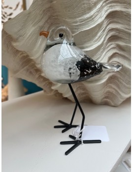 MOUETTE SULFURE