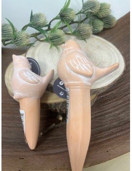 OLLA OU CAROTTE D'ARROSAGE...