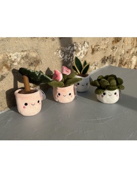 PELUCHE PLANTES